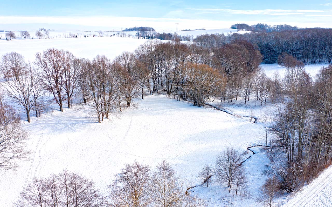 For Christmas and New Year's Day, at least, we will take a - Bild 3